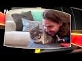 Spotlight on Dalton Castle, Behind The Scenes of Planet Peacock HQ | ROH Tues. at 10 p.m. ET