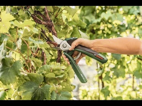 Секатор аккумуляторный Bosch EasyPrune (0.600.8B2.102)