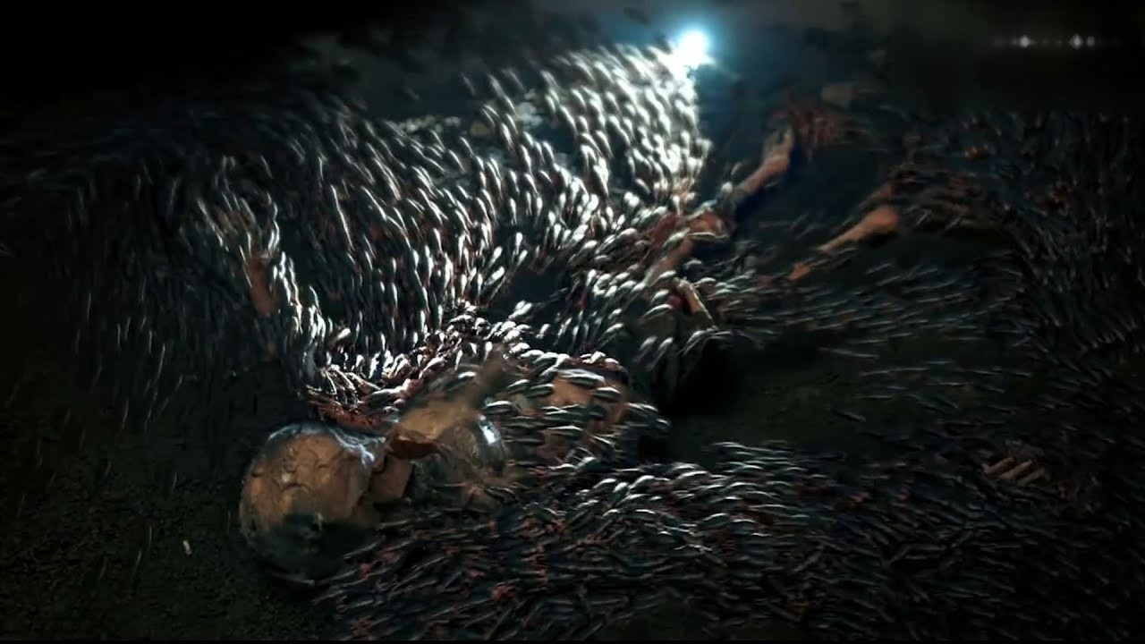 Dois pilotos caem em uma ilha deserta e foram atacados por insetos venenosos e um enorme lagarto!