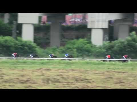 Trka "Novelle Rock" 23.06.2019 Kalakchee - Đorđe Perović