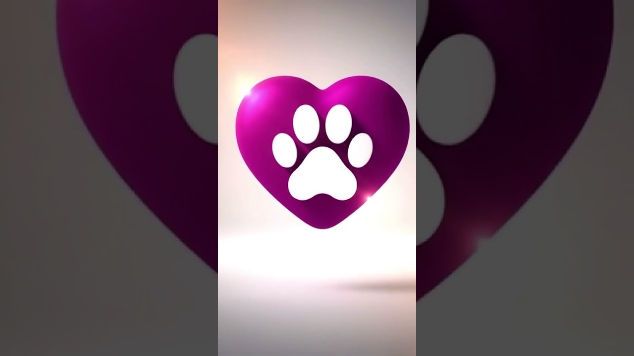 Cachorro raça SRD-ViraLata idade 1 ano nome Sandy