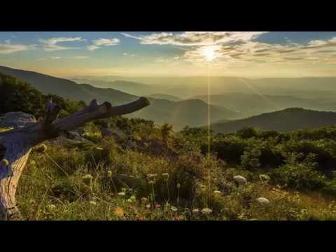 Puiu Chibici si Ramona Ibanescu - E sarbatoare