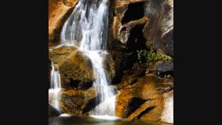 TOMMY ROE- &quot;BAD NEWS (DON&#39;T FOLLOW ME)&quot;