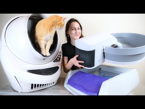 5 Best Automatic Self-Cleaning Litter Boxes (We Tested Them All)