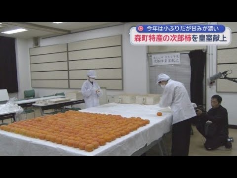 YouTube Video 静岡・森町では皇室に献上する特産の「次郎柿」が収穫　皇室献上は明治時代から続く