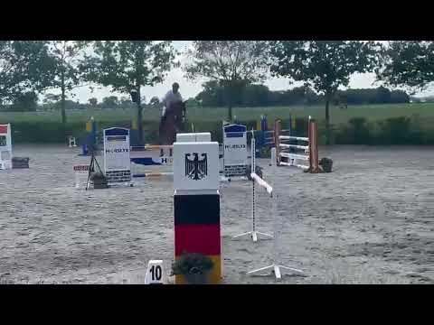 show video 4