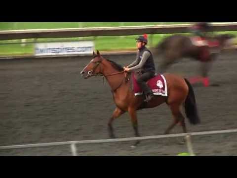 American St. Leger Update 8/13/14