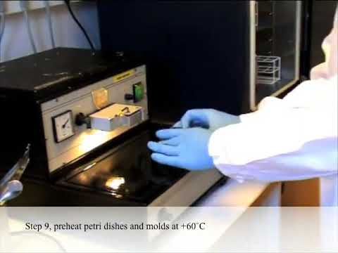 Non-Radioactive Hybridization: For Norway Spruce & Range Of Plant Species l Protocol Preview