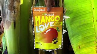 Shawn Wasabi - MANGO LOVE (ft. Satica) [Lighthøuse remix]
