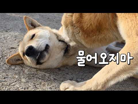 오해하지 마세요