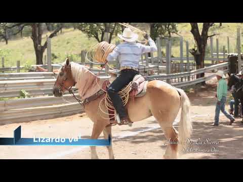 Tradicional pialadero del Primo Ato
