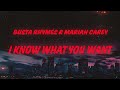 Busta Rhymes & Mariah Carey - I Know What You Want (Lyrics) feat. Flipmode Squad