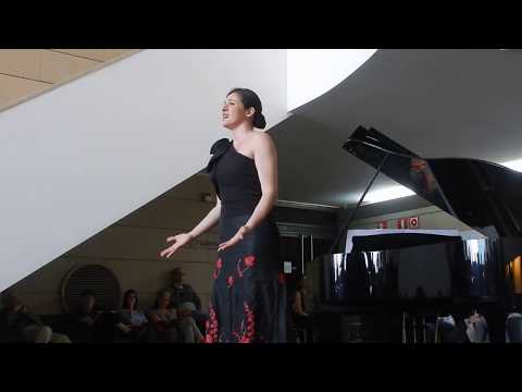 download lagu mp3 mp4 Soprano Wien, download lagu Soprano Wien gratis, unduh video klip Soprano Wien