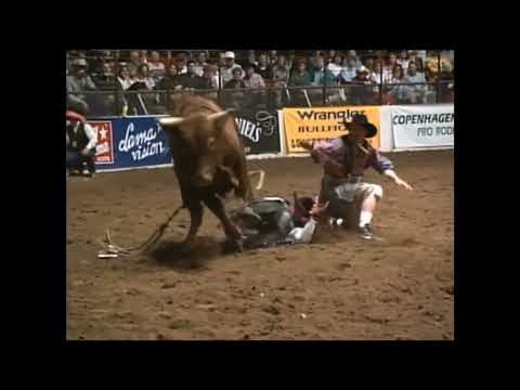 Hedgehog bucks Tuff Hedeman - 95 PBR Ft. Worth