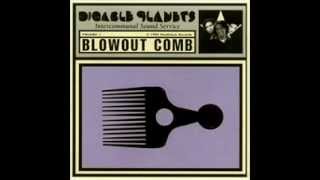 Digable Planets Blowing Down