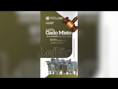 LEILÃO MISTO - SIND. RURAL DE PRESIDENTE OLEGÁRIO 02/02/2026