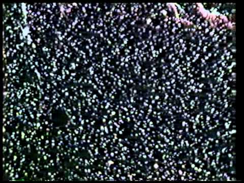 Project Universe 22 - Black Holes