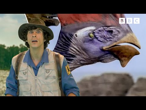 Learn About Dinosaurs! | Dinosaur Adventures | Andy's Amazing Adventures