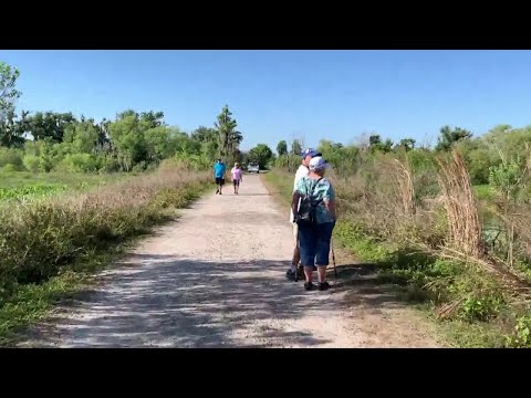 Walking Club: Exploring Circle B Bar Reserve