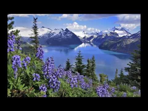 Kid Coconutz - Needed Moonlight