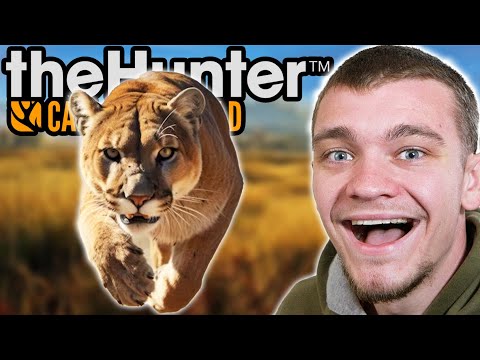 Hunting down a Diamond Mountain Lion!