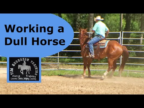 Working a dull horse. Building Responsiveness
