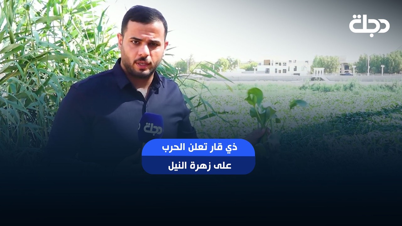 فيديو | ذي قار تعلن الحرب على "زهرة النيل".. خطة عاجلة لإنقاذ الأنهر وإنهاء هدر المياه
