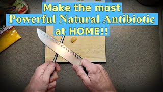 How to make the most POWERFUL natural antibiotic at home!