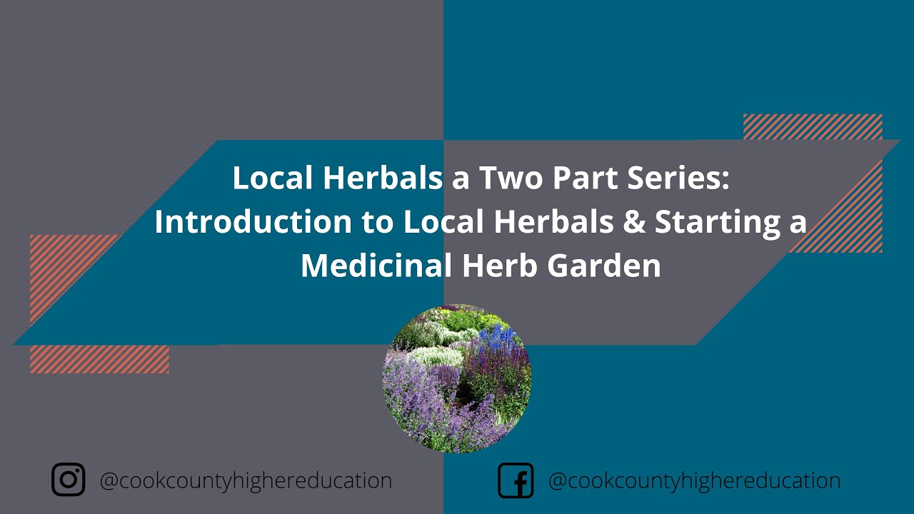 Local Herbals a Two Part Series: Introduction to Local Herbals & Starting a Medicinal Herb Garden