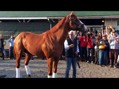 Justify Triple Crown