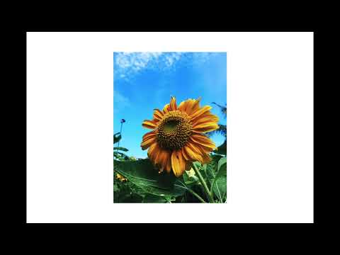 Itulah Mama - Bob Yakip