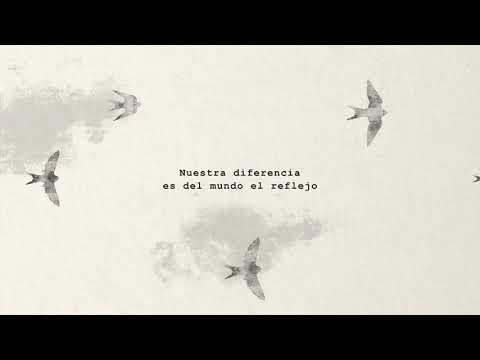 Dividido - Alex Cuba + Silvana Estrada - Lyric Video