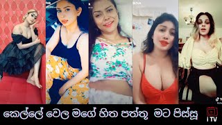 Sri Lankan hot & sexy Girls tik tok Dance  Sl 