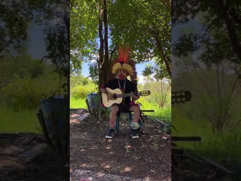 NEI MAWA YUXININ - Bukun Mapua Balanço da Floresta