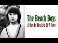 The Beach Boys  "A Day In The Life Of A Tree"