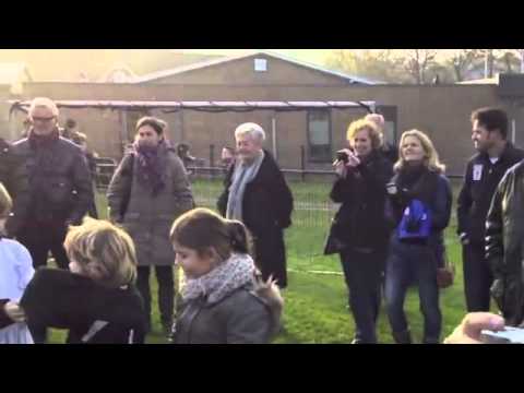 20111119 MOC'17 F7 winterkampioen