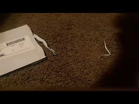 15$ Ebay coin grab bag ripped  off don't buy scam