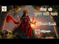 मैया की चुनर उड़ी जाए Lo Fi SHAHNAZ AKHTAR Slowed Reverb Devibhaja