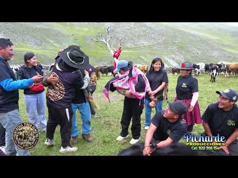 02 Herranza Costumbrista de Sañayca 2026 - fundo chiriyaku - Aymaraes, Apurímac, Perú