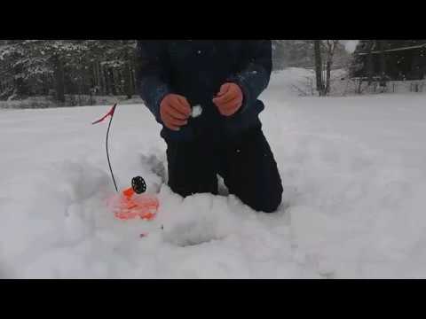 Miten kalastat kirjolohta ootto-ongella?