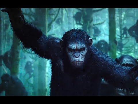 Dawn  Planet  Apes on Dawn Of The Planet Of The Apes    Trailer   Screenphiles