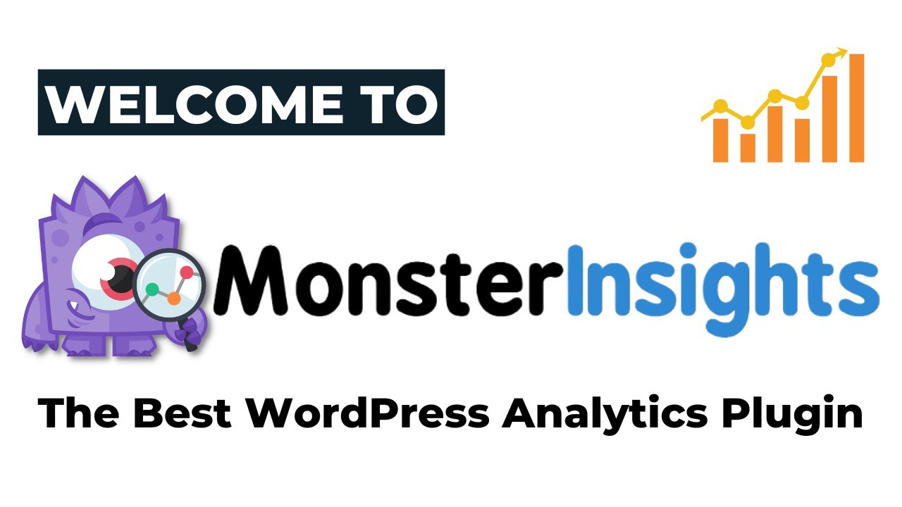 Welcome To MonsterInsights
