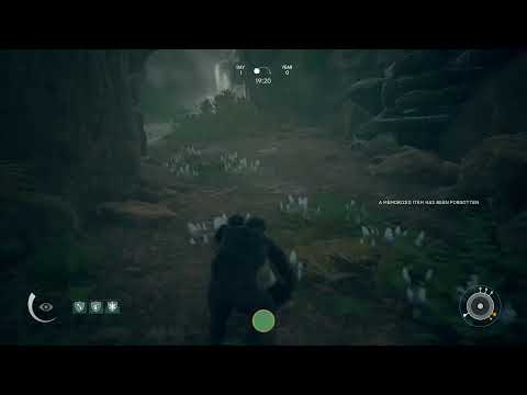 Ancestors The human evolution/ monkey business