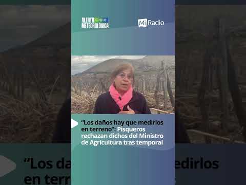 Profunda molestia provocaron entre los productores pisqueros de la Región de Coquimbo las…