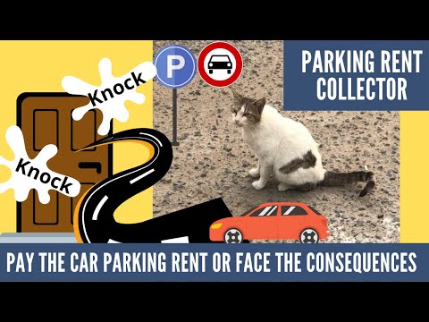 How to stop cat from peeing on your car/ start paying the rent/feed the cat/ stray cat stories