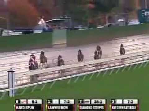 2007 Breeders Cup Classic - Curlin