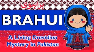 Brahui Language: A Living Dravidian Mystery in Pakistan