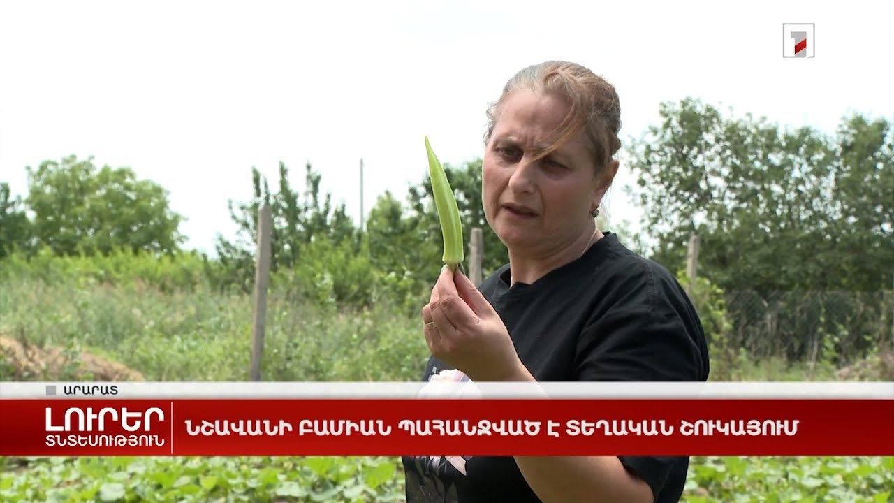 Նշավանի բամիան պահանջված է տեղական շուկայում