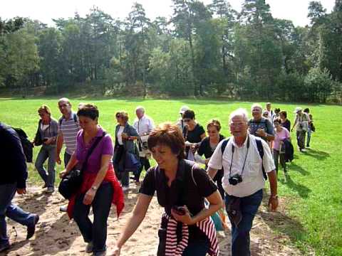 holanda fil per randa