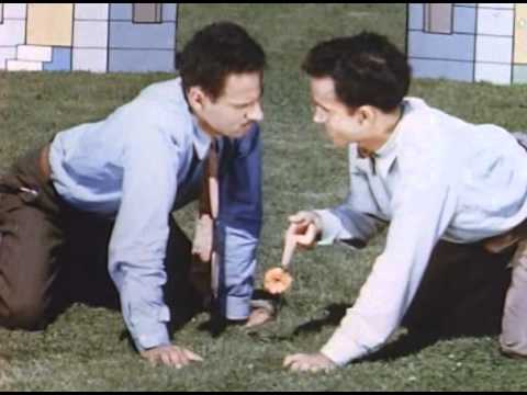 Norman McLaren - Neighbours